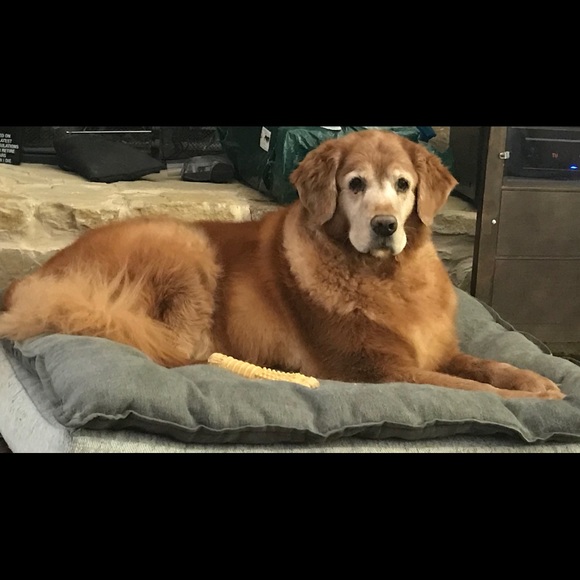 Meet your Posher Athena Rose - Picture 11 of 16